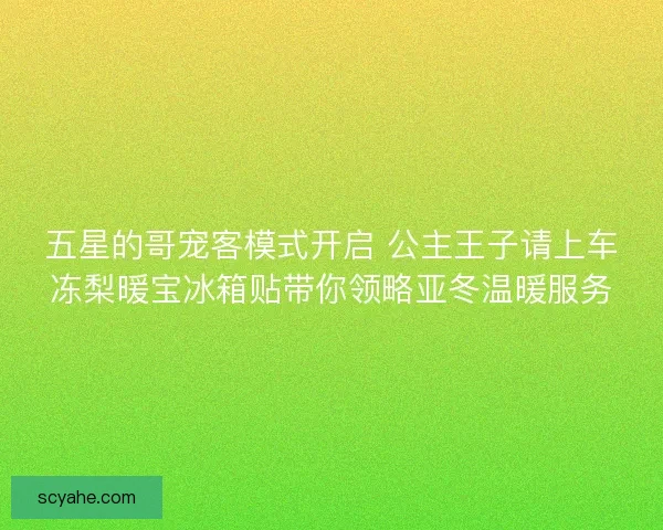 五星的哥宠客模式开启 公主王子请上车冻梨暖宝冰箱贴带你领略亚冬温暖服务