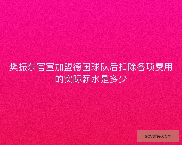樊振东官宣加盟德国球队后扣除各项费用的实际薪水是多少