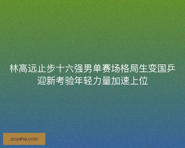 林高远止步十六强男单赛场格局生变国乒迎新考验年轻力量加速上位