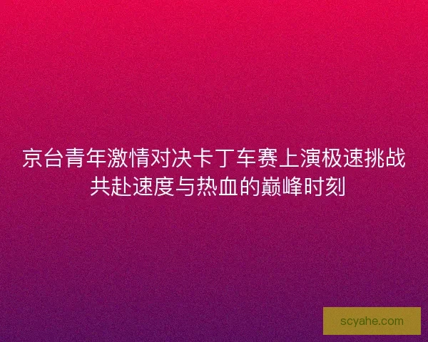 京台青年激情对决卡丁车赛上演极速挑战 共赴速度与热血的巅峰时刻